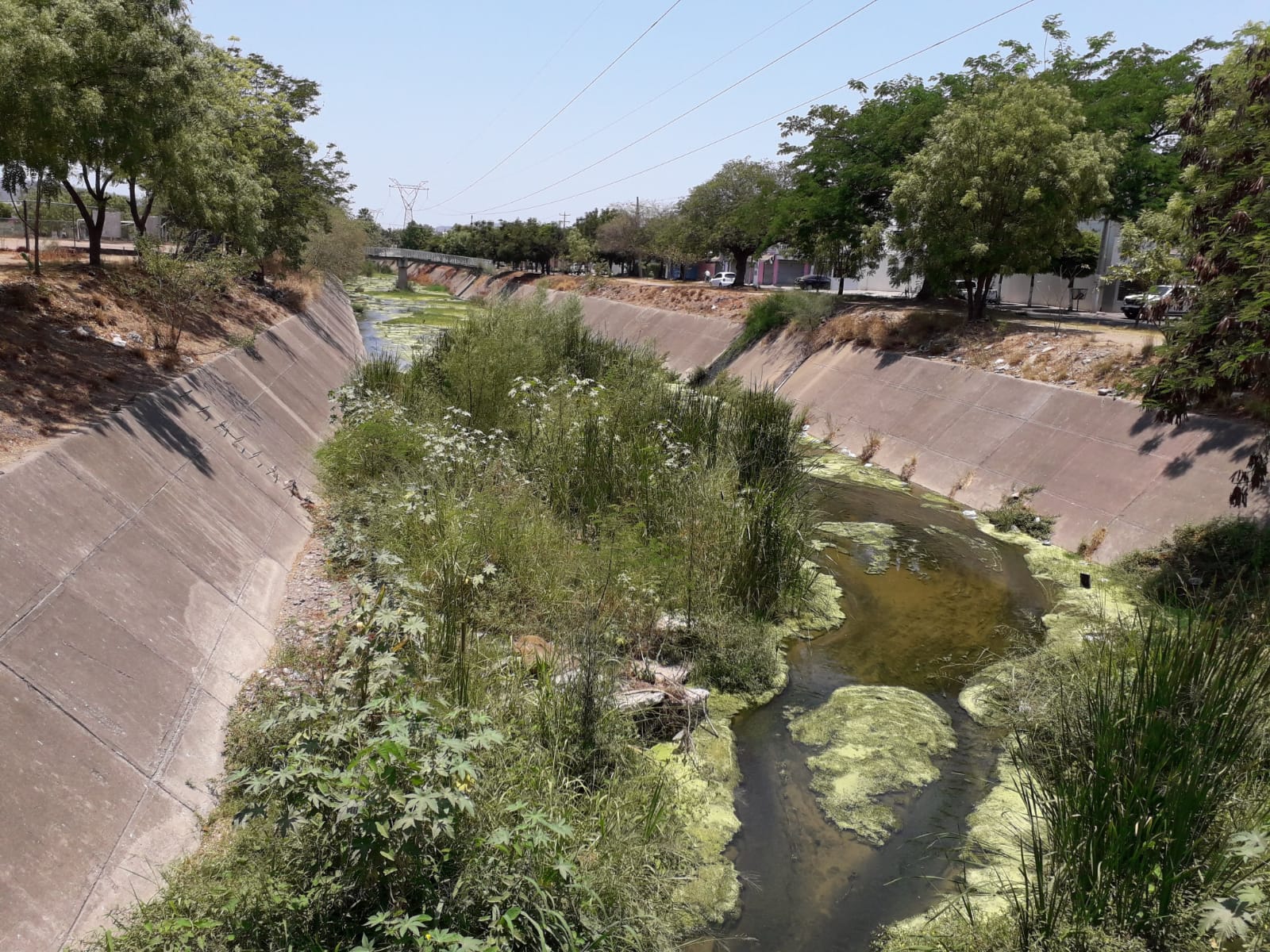 Se Inician Los Trabajos De Limpieza Y Desazolve En Arroyos Drenes Y