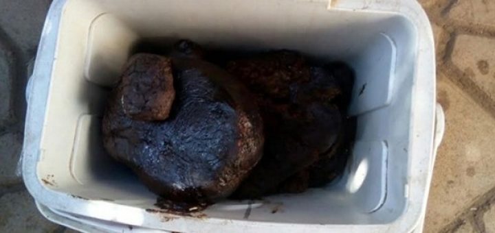 Inicia PGR investigación contra dos personas tras asegurarles más de nueve kilos de goma de opio
