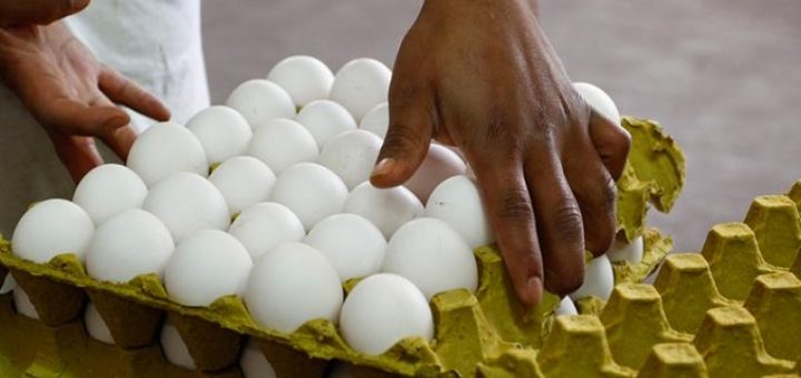 Vigilarán que precio del huevo no rebase lo permitido