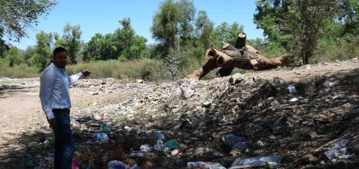 Atiende PROFEPA denuncia por supuesto ECOCIDIO en el río fuerte, municipio de Ahome, Sinaloa