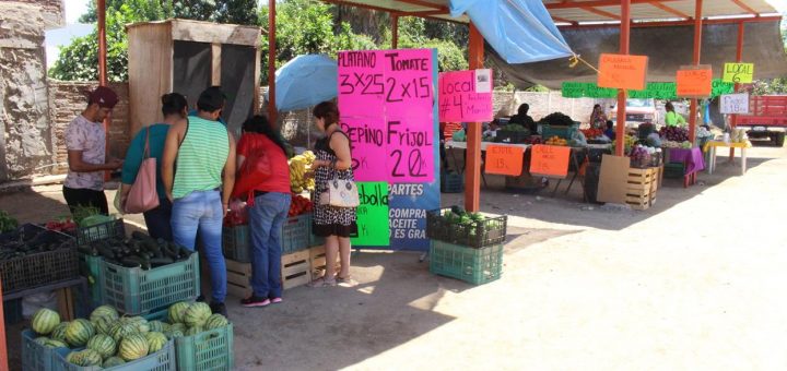 Nuevo mercado de frutas y verduras en Navolato