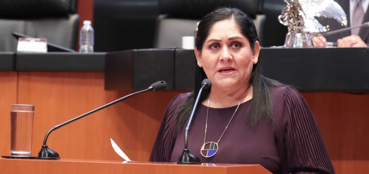 Senadora busca armonizar la ley de la policía federal en materia de asuntos migratorios
