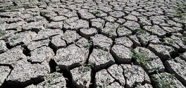Sequía afecta 14 de los 18 municipios de Sinaloa